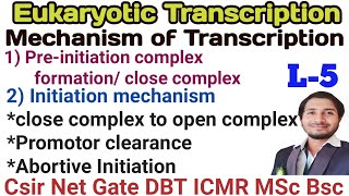 Eukaryotic transcriptionL5 Preinitiation complex formation amp initiation mechanism in detailcsir [upl. by Yriek]