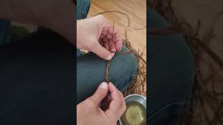 Making sagebrush cordage [upl. by Ainotal389]