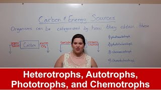 Heterotrophs Autotrophs Phototrophs and Chemotrophs [upl. by Barling371]