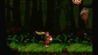 Lets Play Donkey Kong Country 2  4 Monkey Business in the Swamp [upl. by Heppman]