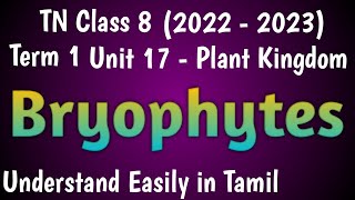 Bryophytes Class 8 Science Term 1 Unit 17 Plant Kingdom [upl. by Yliab]