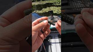 How To Rig a Weedless Ned  Bass Fishing [upl. by Farkas209]