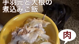 ラブラドールの手作り食：大根と手羽元の煮込みごはん [upl. by Strauss]