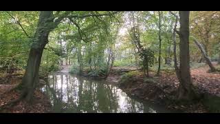 Coombe Abbey Country Park Coventry England [upl. by Nathaniel373]