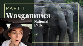 When a wild elephant mock charged us in Wasgamuwa National Park  Part 1  Wild Sri Lanka Vlogs [upl. by Christabelle394]