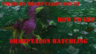 How to get Sharptalon Hatchling Pet and Viridian Sharptalon Mount [upl. by Acker]