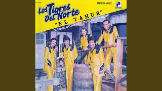 El Ejemplo los Tigres del Norte con letra [upl. by Pavlov]