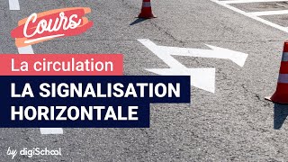 La signalisation horizontale  Code de la route [upl. by Lucic]