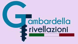 Gambardella Trivellazioni [upl. by Cherin]