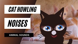 Cat Howling Noise  cat howling  sound effect [upl. by Lauraine]