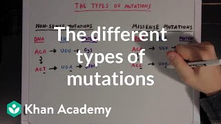 The different types of mutations  Biomolecules  MCAT  Khan Academy [upl. by Windy111]