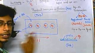 Radial immunodiffusion [upl. by Wycoff]