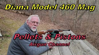 Diana 460 Magnum Air Rifle [upl. by Julieta]