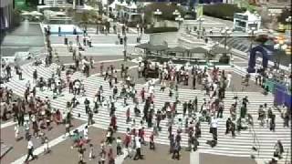 Michael Jackson Tribute  Montreal July 27 Flashmob [upl. by Winchester]