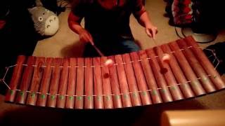 Ranat Ek Practice I Thai Xylophone [upl. by Nunci]