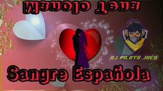 MANOLO TENA SANGRE ESPAÑOLA remix 2024 djpilotojaen [upl. by Eilhsa]