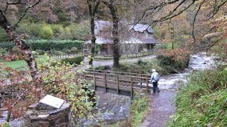 Watersmeet Walk Lynmouth Exmoor Walks South West Coast Path Walks North Devon Walks England UK [upl. by Grof37]