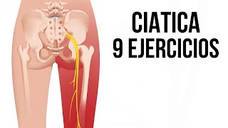 9 EJERCICIOS para aliviar la CIATICA sin importar su origen fisioterapiatualcance [upl. by Edouard]