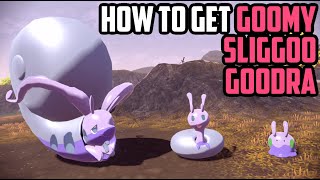 How to Catch Goomy Sliggoo AND Goodra EARLY  Pokémon Legends Arceus [upl. by Meeharb]