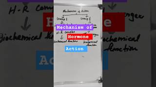 Mechanism of Hormone Action Biochemistry hormones mechanismofaction biochemistrymbbs1styear [upl. by Weirick817]