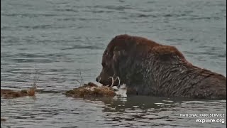 747 Enjoys a Quiet Morning in the Lower River  October 6 2024 exploreorg [upl. by Huesman801]