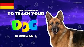 Teach Your Dog Commands In German 20 Common Words [upl. by Danika]