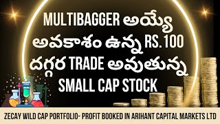 Small Cap Stock Trading at 100 Rupees is About to EXPLODE [upl. by Ihn873]