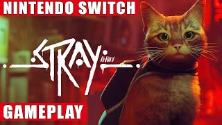 Stray Nintendo Switch Gameplay [upl. by Drareg]