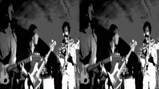 3D Live Music  John Allen Muhammad  St Ex Bordeaux 19112011 01 [upl. by Hayne]