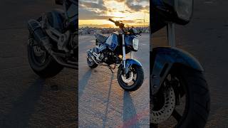 2023 Honda Grom Pure Sound motorcycle gromlife grom bikelife honda hondagrom 125 utah moto [upl. by Ardek42]