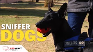 How Sniffer Dogs Are Trained  Dogs  Endangered Wildlife Trust [upl. by Arahas]