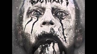 Caliban  Sonne Rammstein HQ  Disc 2  1420 [upl. by Remled]