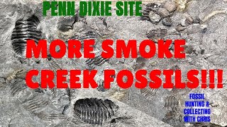 More Smoke Creek Trilobites Penn Dixie Dig with the Experts Fossil Hunting amp Collecting with Chris [upl. by Micheal]