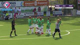 Samenvatting Westlandia  Hercules [upl. by Ursal]