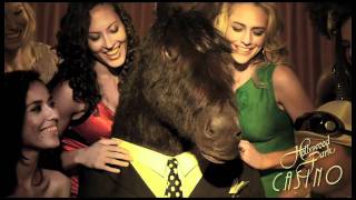 Hollywood Park Casino Commercial quotBuck Whinnersquot [upl. by Russia]