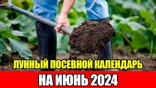 Лунный Посевной Календарь на ИЮНЬ 2024 Самый Точный Прогноз По Уходу За Растениями [upl. by Mikol]