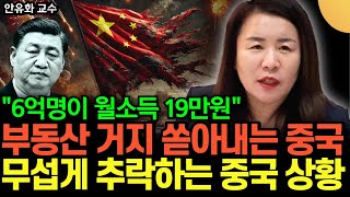 quot6억명이 월소득 19만원quot 중국에 부동산 거지가 넘친다 중국 민심 발칵 뒤집힌다 무섭게 추락하는 중국 상황 안유화 교수  2부 [upl. by Aruol382]