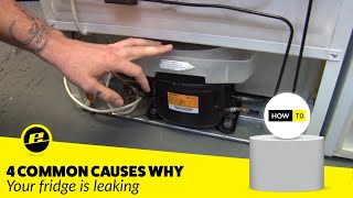 How to Fix a Leaking Fridge 4 Possible Ways [upl. by Luthanen649]