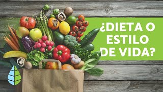 Diferencia entre VEGANO VEGETARIANO y CRUDIVEGANO [upl. by Odanref586]