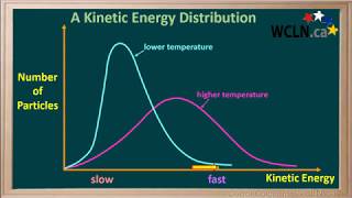 WCLN  Kinetic Energy  distributions and temperature [upl. by Leinnad]