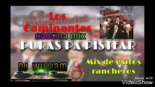 los caminantes cantina mix vs tigres del norte dj William [upl. by Nwahsor]