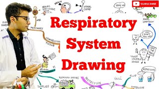 Respiratory System Easy Drawing [upl. by Phyllys]