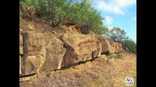 Permian Basin Fossil Record from Amazing Gem and Mineral Museum [upl. by Armstrong]