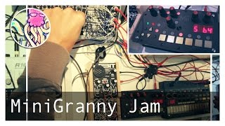 MiniGranny Jam w bitRanger Minisizer MicroGranny 2 Volca Beats TTNM [upl. by Pollux]