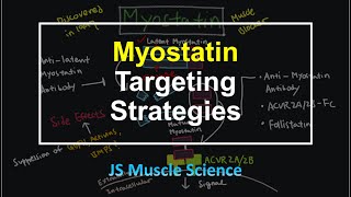 Myostatin Targeting Strategies  JS Muscle Science [upl. by Walley]