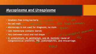 Mycoplasma and Ureaplasma [upl. by Petty]