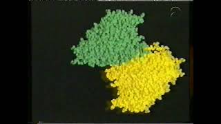 BioBits Programma 29 Blok 58 RNA en DNA bij prokaryoten deel 2 [upl. by Hanforrd]