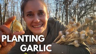 Its Time to Plant Garlic [upl. by Cherye]