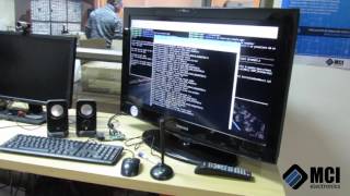 Domótica con Raspberry  Alexa  Sonoff [upl. by Angrist]