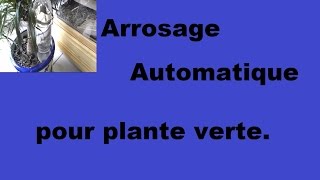 Arrosage automatique pour plante verte [upl. by Beach104]